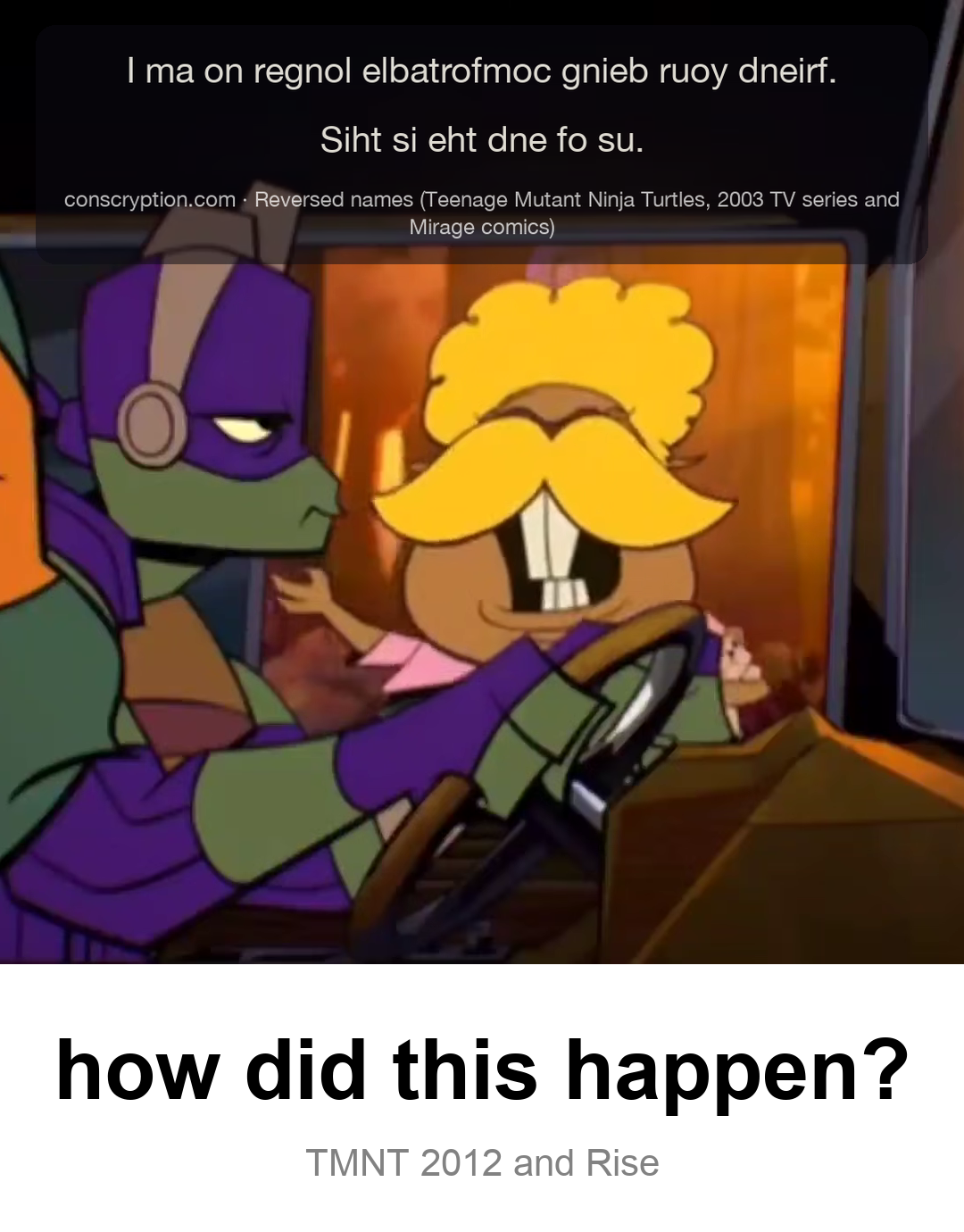 Donnie Is Still Waiting (Reversed names (Teenage Mutant Ninja Turtles, 2003 TV series and Mirage comics))