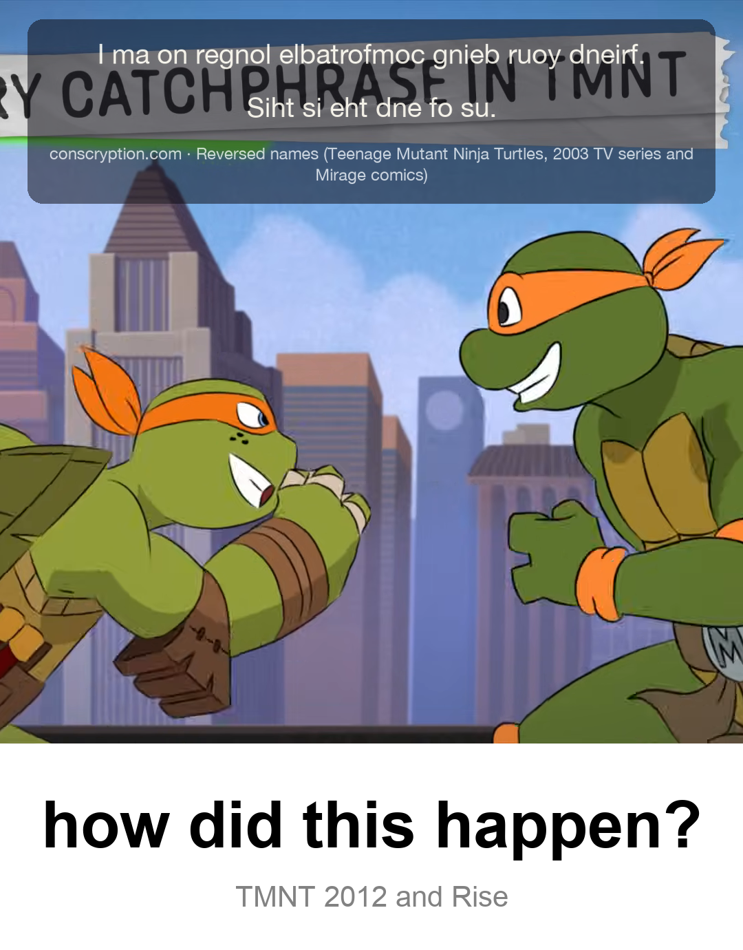 Cowabunga vs. Booyakasha: Word Crimes (Reversed names (Teenage Mutant Ninja Turtles, 2003 TV series and Mirage comics))